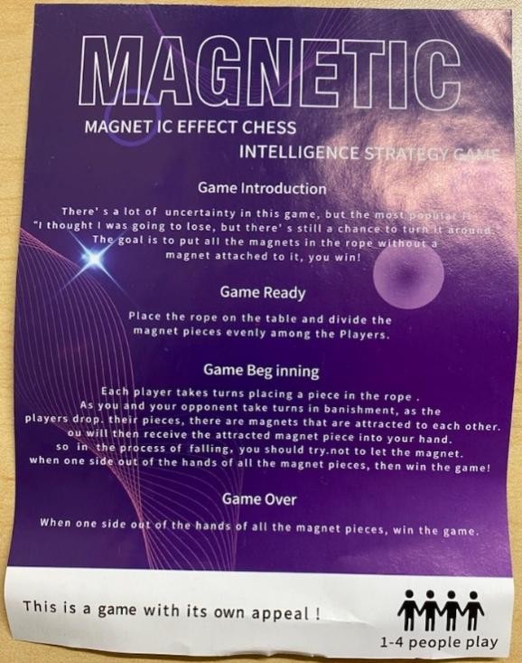 Recalled Christmas-themed Magnetic Chess Game - instructions