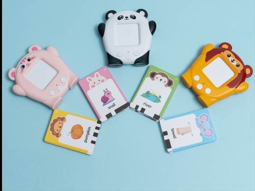 TheKiddoSpace Recalls Children's Flashcard Talking Toys Due to Risk of Injury from Lead and Phthalate Exposure; Violates Federal Lead Content and Phthalates Bans and Standard for Toys
