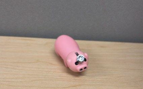 Somgem Pig and Yomin Toilet Lighters Recalled Due to Risk of Serious Injury or Death from Fire and Burn Hazards; Violates Mandatory Standard for Cigarette Lighters; Sold on Amazon by Elepdv